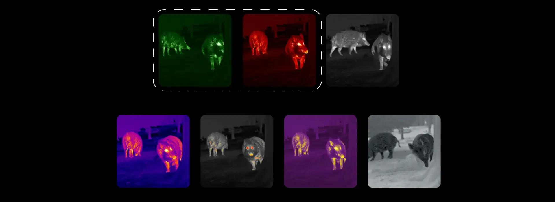 LUMI-H35-nocpix-pl-6.webp