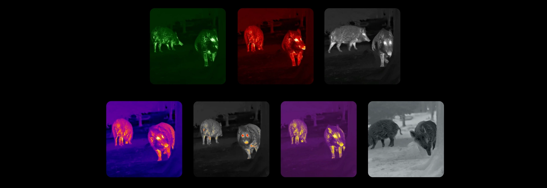 LUMI-L19-nocpix-pl-6.webp