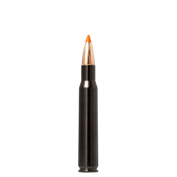 amkul-30-06-norma-tipstrike-silencer-11-g-170-grs-1op20szt