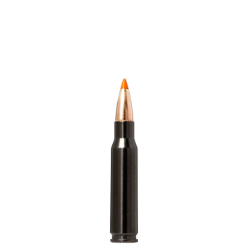 amkul-308win-norma-silencer-tipstrike-170-grs-1op20szt