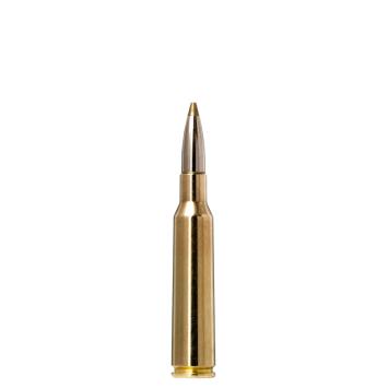 amkul-65x55-norma-se-evostrike-60-g-93-grs-1op20-szt
